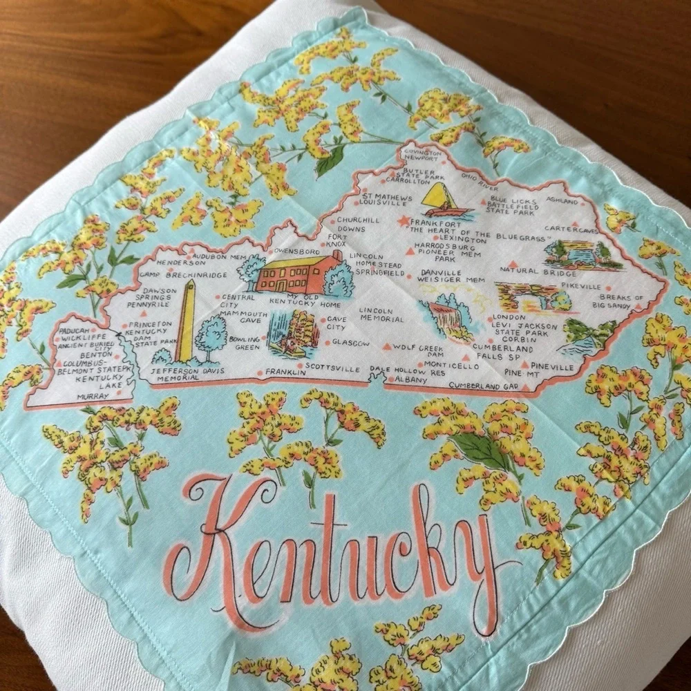 Vintage Kentucky Handkerchief Pillow Shabby Chic Retro Country Cabin Decor - Picture 5 of 5